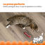 Outward Hound Catstages Green Magic Dynamite Rojo Peluche para gatos, , large indicador imagen numero 2