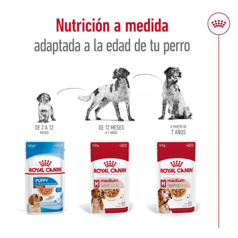 Royal Canin Medium Adult Sobre en salsa para perros thumbnail