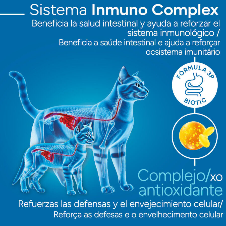 Criadores Científico Mother&amp;BabyCat pollo pienso para gatos thumbnail