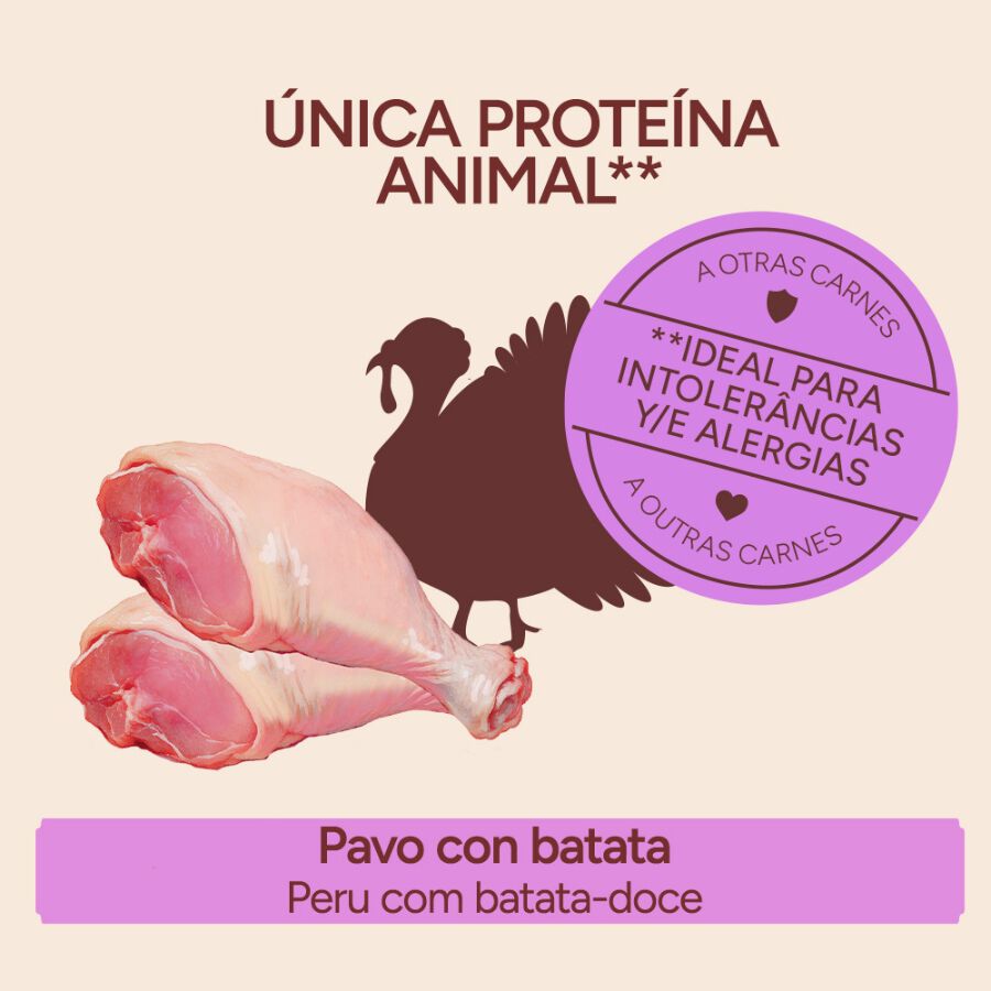 400 g Criadores Monoproteico Pavo y Batatas lata para perros, , large Imagen numero 3