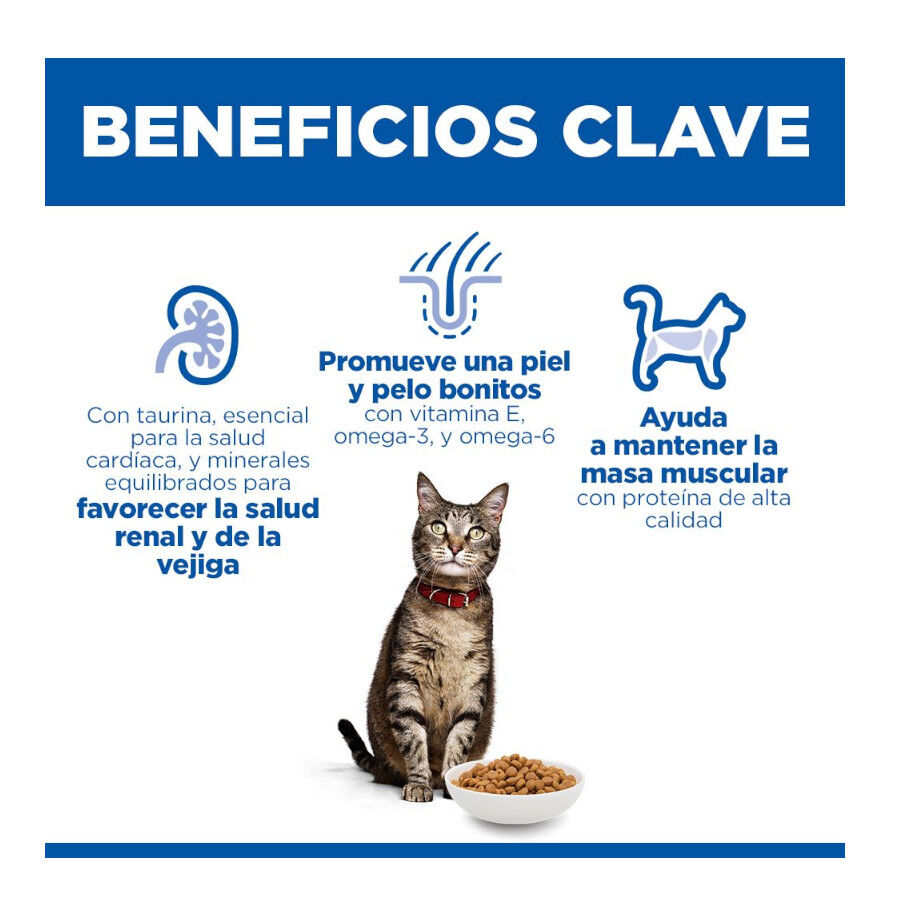 1.5 kg Hill's Science Plan Adult Pienso Salm&oacute;n para gatos, , large Imagen numero 5