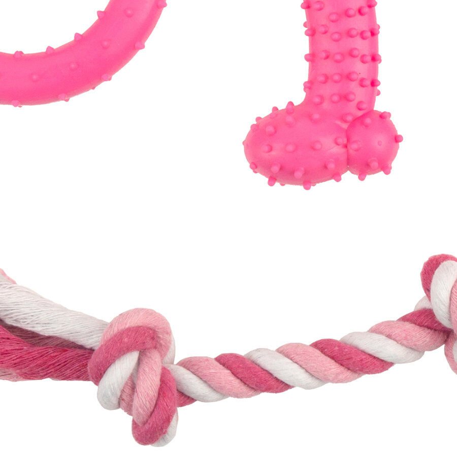Tootoy! Chew Teething Set Rosa de mordedores para cachorros, , large Imagen numero 3