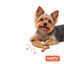 Tootoy! Chew Hueso Salm&oacute;n Juguete para perros, , large indicador imagen numero 7