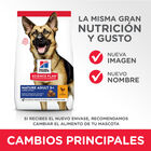 Hill's Science Plan Mature Adult Large Pollo pienso para perros, , large image number null