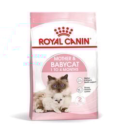 Royal Canin Mother & Babycat pienso para gatos
