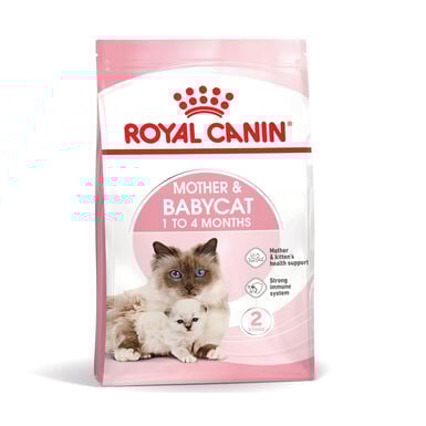 Royal Canin Mother & Babycat pienso para gatos