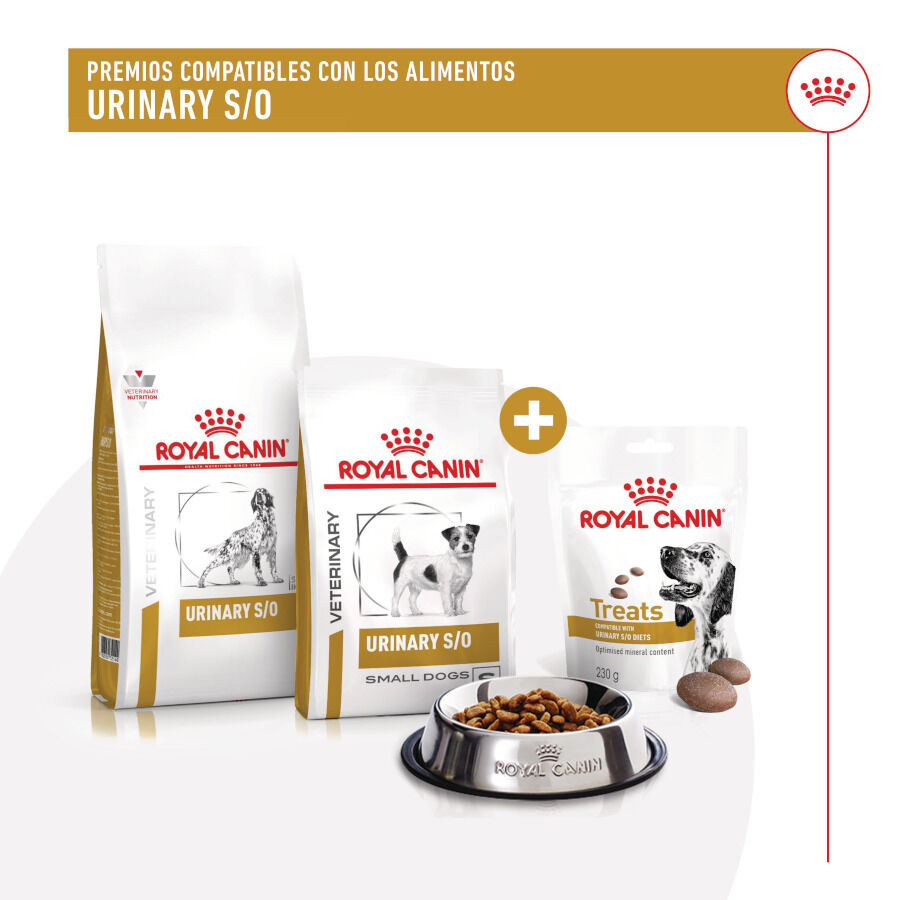 Royal Canin Treats Urinary Snacks para perros thumbnail