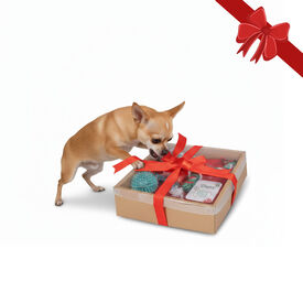 Wonder Christmas Caja de Juguetes Navideños para perros,  Wonder Christmas Caja de Juguetes Navideños para perros