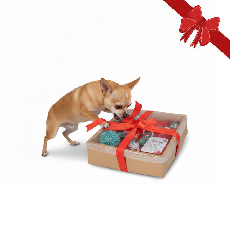 Wonder Christmas Caja de Juguetes Navideños para perros,  Imagen numero 1 Wonder Christmas Caja de Juguetes Navideños para perros, , large Imagen numero 1