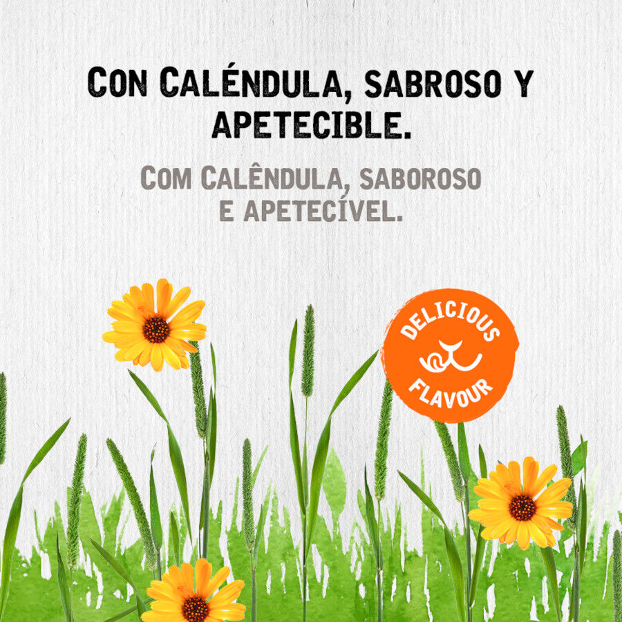 Small Life Heno Timothy con Calendura para roedores, , large Imagen numero 3