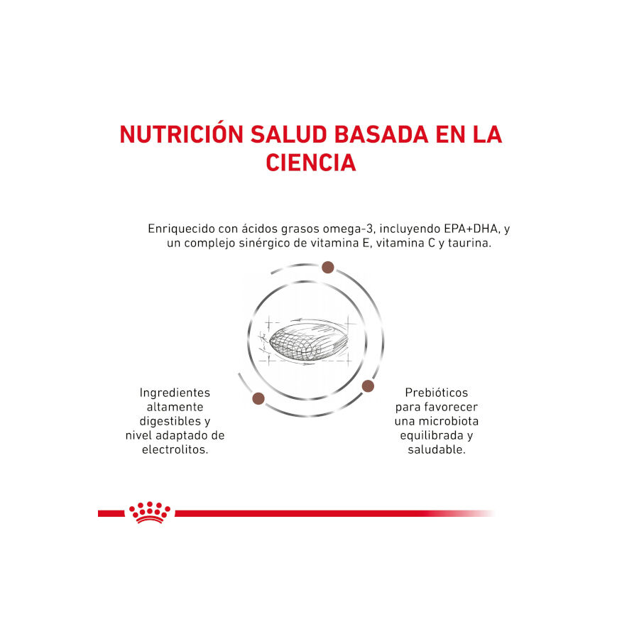 Royal Canin GastroIntestinal Low Fat pienso para perros pequeños thumbnail