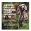 11.4 kg Orijen Adult Regional Red pienso para perros, , large indicador imagen numero 2