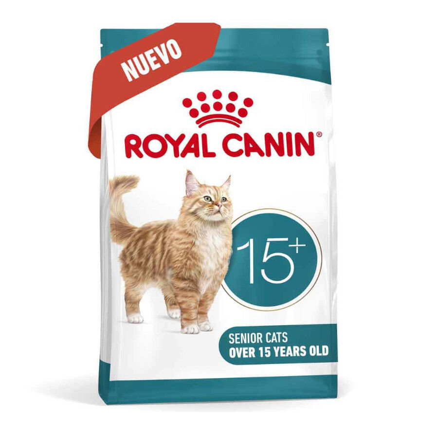 Royal Canin Ageing +15 pienso para gato senior thumbnail