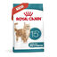 2 kg Royal Canin Ageing +15 pienso para gato senior, , large indicador imagen numero 2