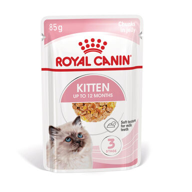 Royal Canin Kitten comida húmeda en gelatina sobre para gatitos