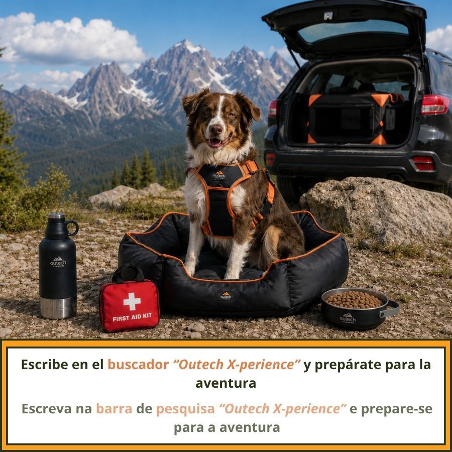 Outech X-perience Comedero Plegable Portatil para perros, , large Imagen numero 7