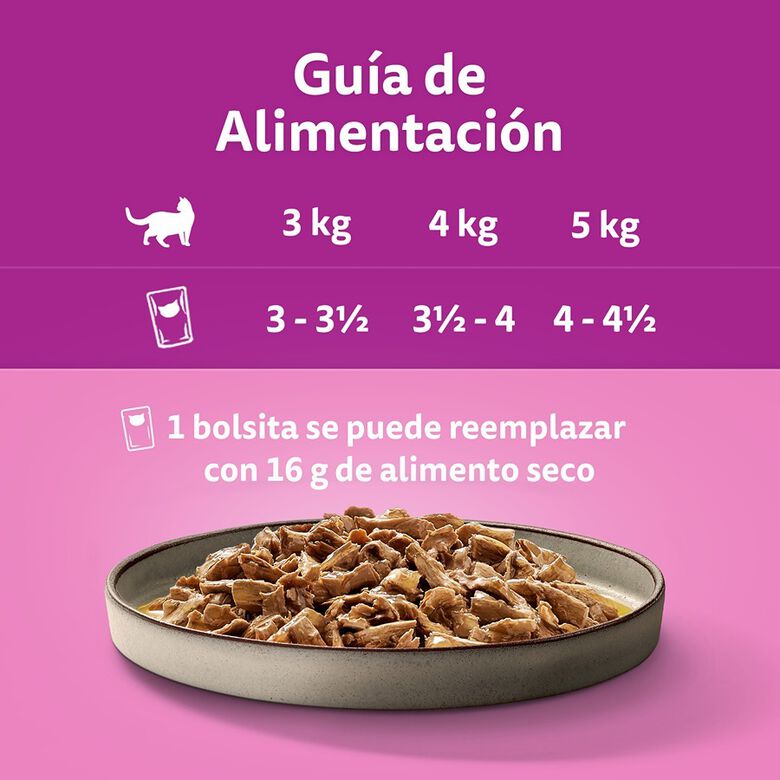 Whiskas Pure Delight Selección Aves Gelatina en Bolsita para gatos thumbnail