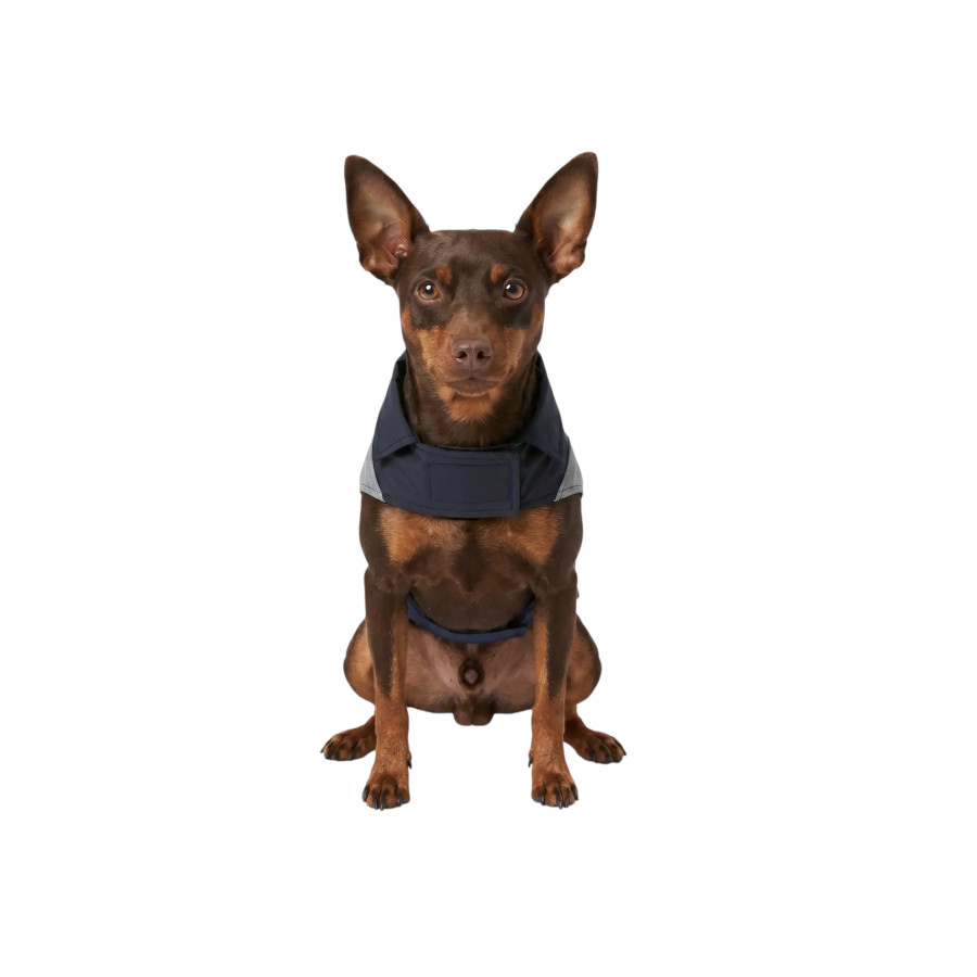 Gotoo Impermeable Reflectante Gris Azulado para perros, , large Imagen numero 7