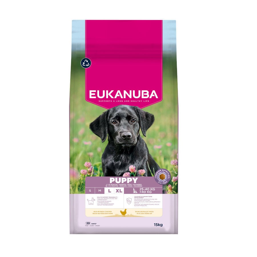 15 kg Eukanuba Puppy Large Pollo pienso para perros, , large Imagen numero 1