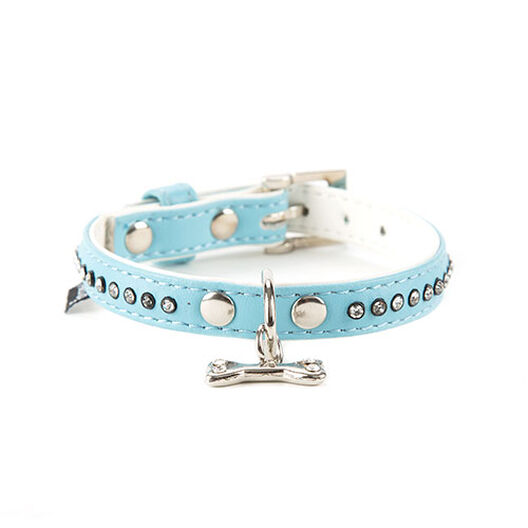 ecuación Hombre rosario Freedog Collar con Tachuelas Azul para perros | Kiwoko