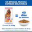 12 kg Hill's Science Plan Light Mature Adult 7+ Medium Pollo pienso para perros, , large indicador imagen numero 6