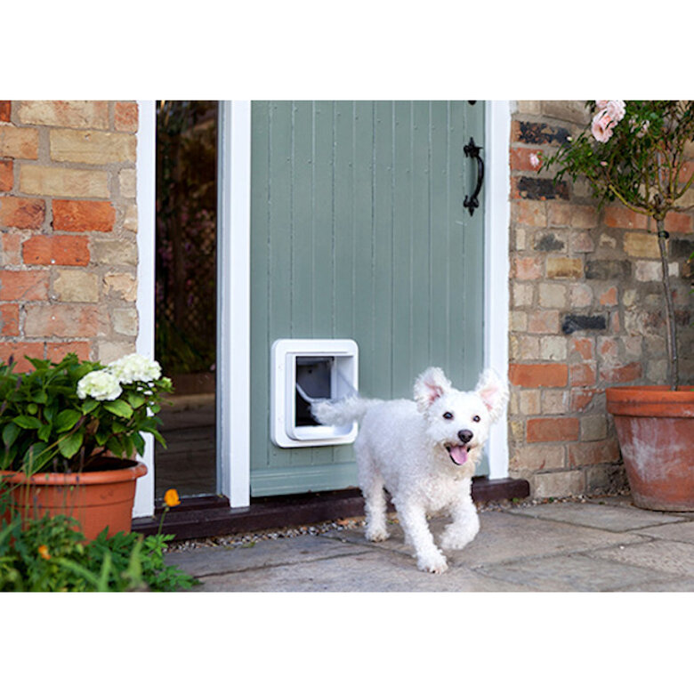 Sure Petcare Connect Puerta con Microchip + Hub para perros y gatos, , large image number null