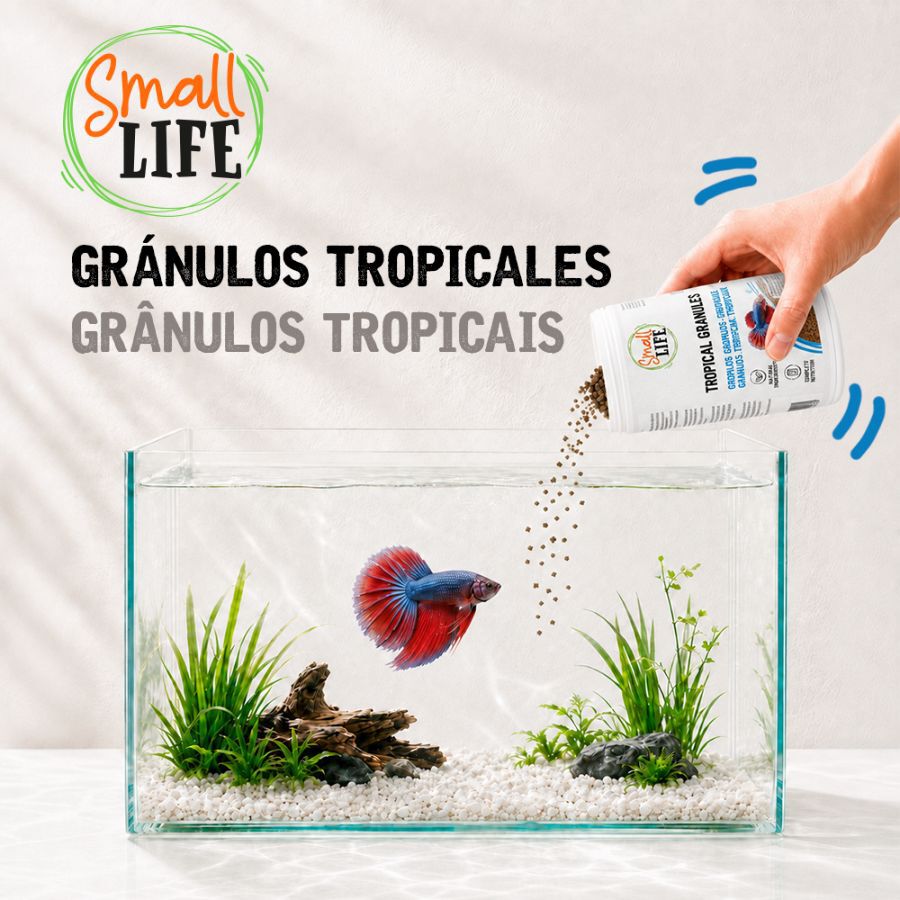 100 ml Small Life Gr&aacute;nulos Tropical Alimento para peces, , large Imagen numero 3