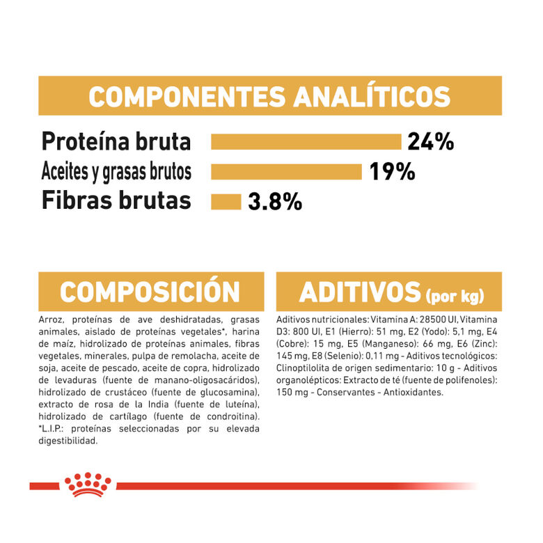 Royal Canin Adult Pastor Alemán pienso para perros thumbnail