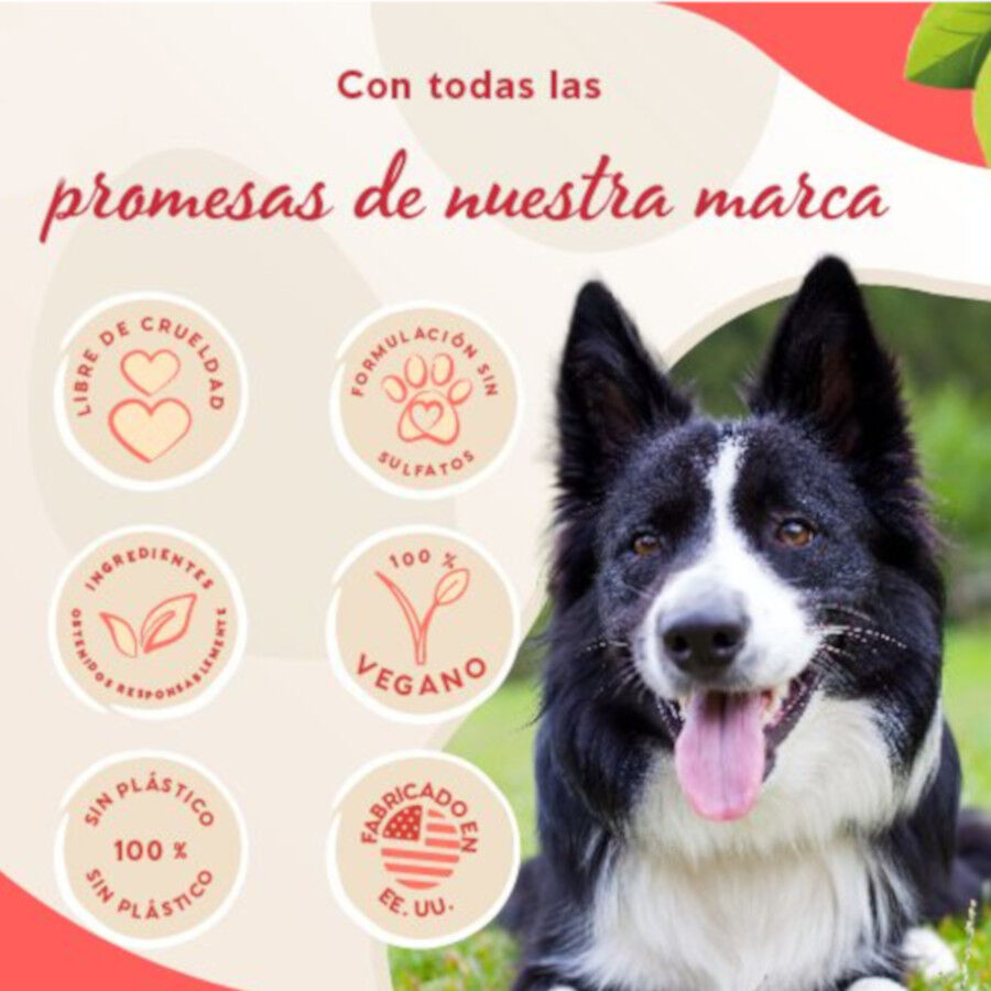 Pet Head champ&uacute; en pastilla 3 en 1 olor granada para perros, , large Imagen numero 4