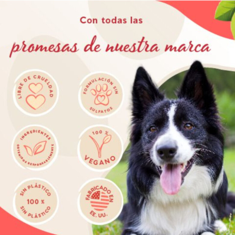 Pet Head champú en pastilla 3 en 1 olor granada para perros,  Imagen numero 4 Pet Head champú en pastilla 3 en 1 olor granada para perros, , large Imagen numero 4