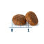 7 kg Nath Adult Mini Pollo pienso para perros, , large indicador imagen numero 3