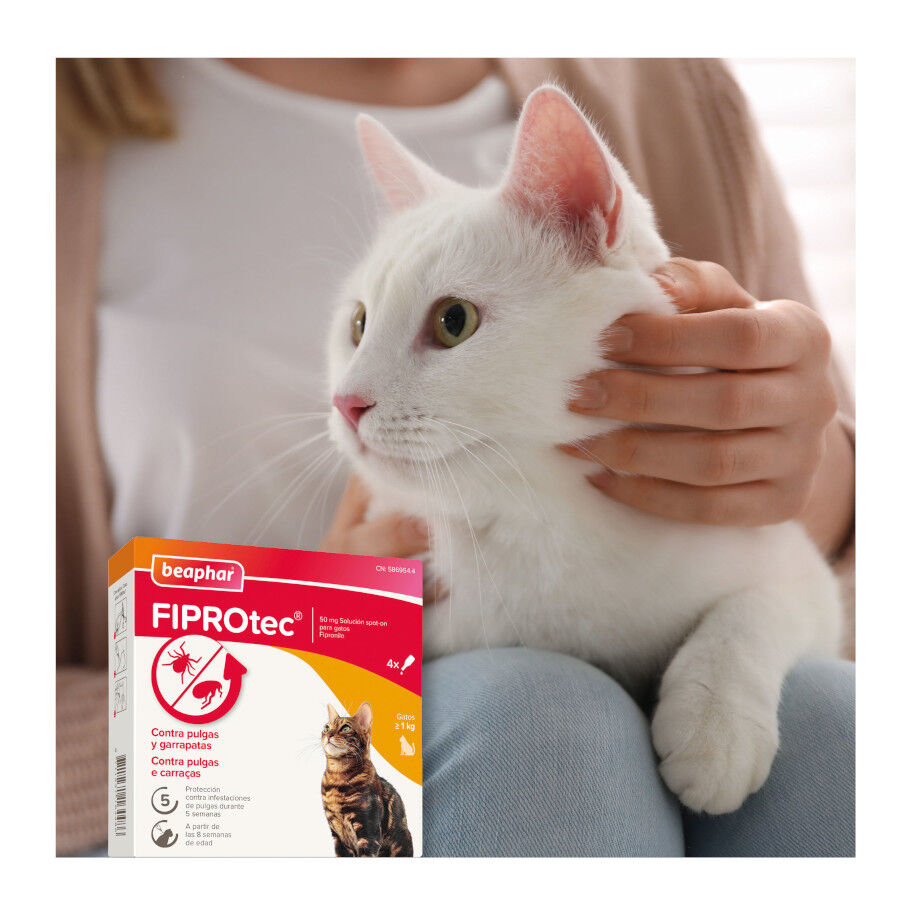 Beaphar Fiprotec Pipetas Antiparasitarias para gatos thumbnail