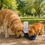 Gotoo Botella Bebedero Port&aacute;til de Pl&aacute;stico Azul para perros y gatos, , large indicador imagen numero 1