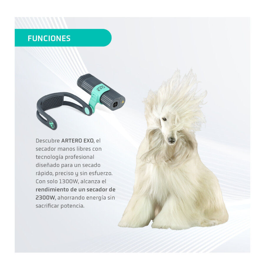Artero Exo Secador Gris Clarito y Amarillo para perros y gatos, , large Imagen numero 4