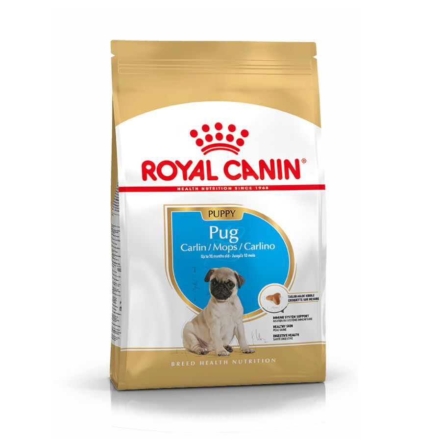 Royal Canin Puppy Pug pienso para perros