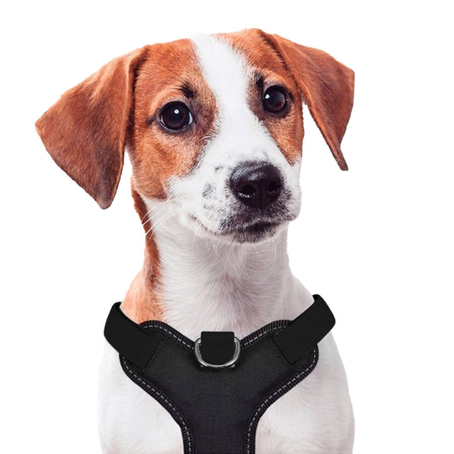 X-TRM Cronos Neon Flash Arnés Negro para perros thumbnail