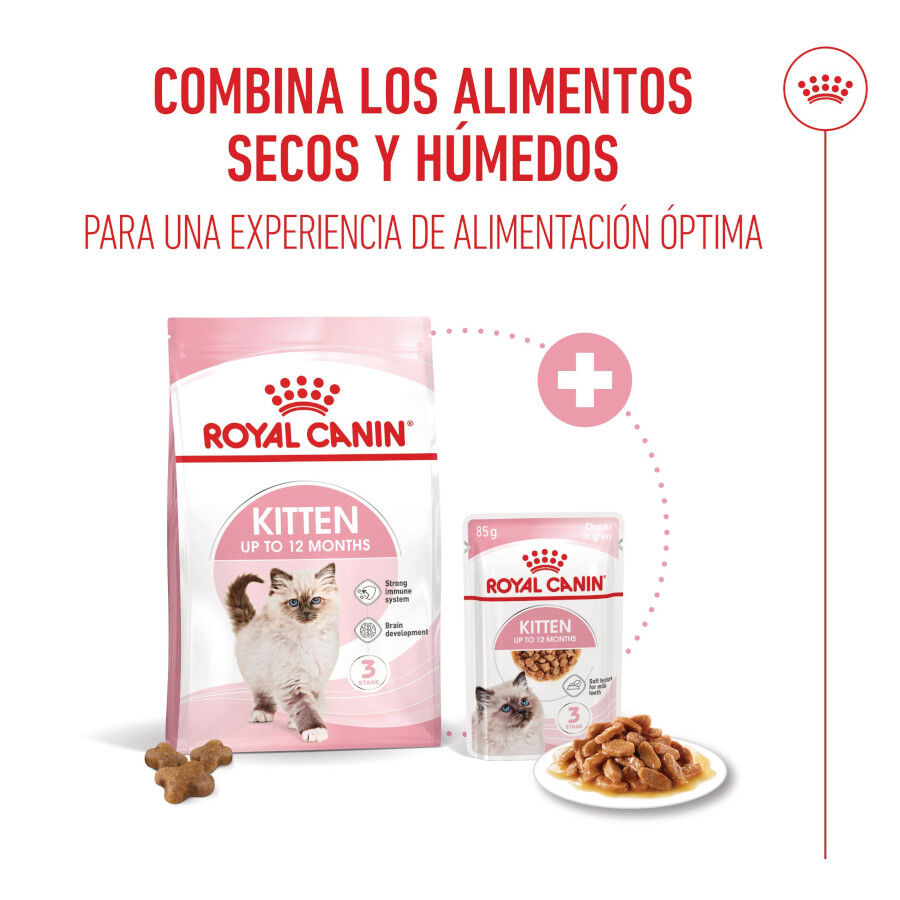 Royal Canin Kitten pienso para gatos thumbnail