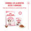 10 kg Royal Canin Kitten pienso para gatos, , large indicador imagen numero 11