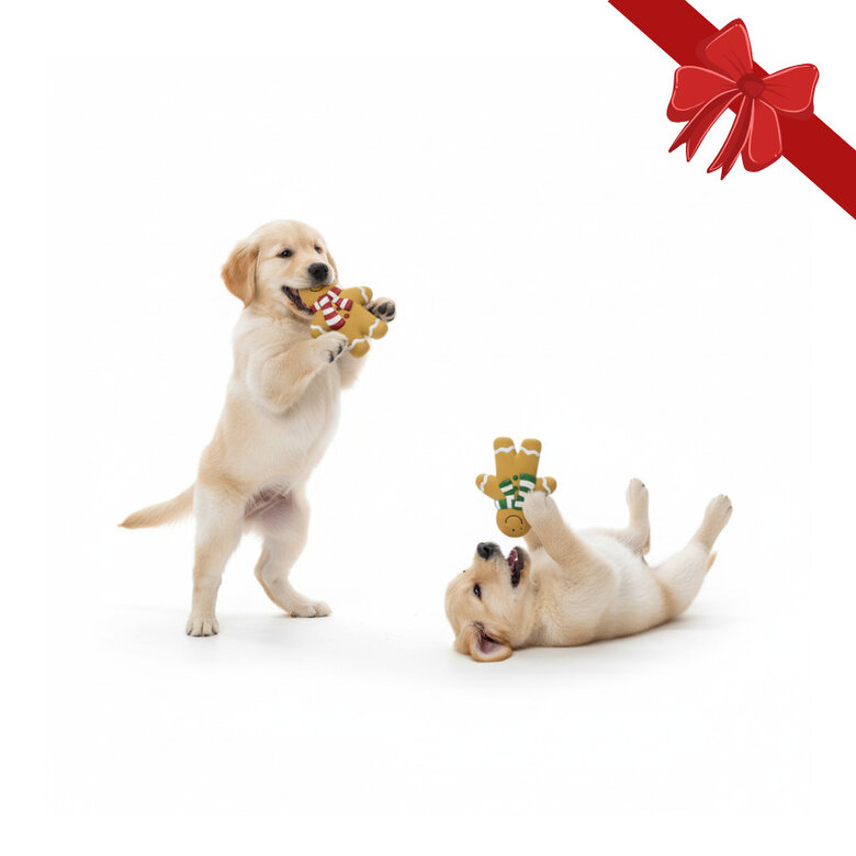 Wonder Christmas Super Gingerman Juguete Navideño para perros,  Imagen numero 1 Wonder Christmas Super Gingerman Juguete Navideño para perros, , large Imagen numero 1
