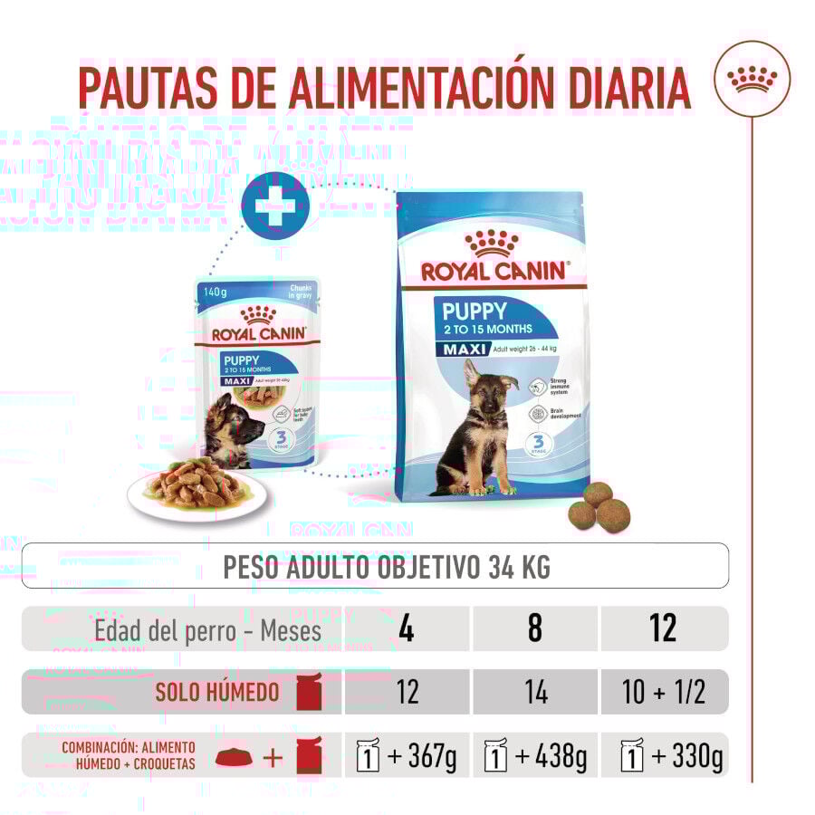 Royal Canin Húmedo Maxi Puppy sobre para perros thumbnail