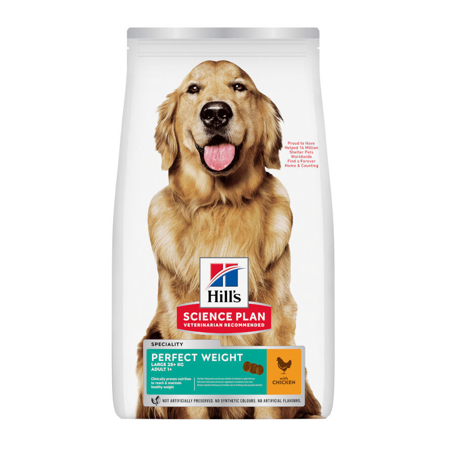 12 kg Hill's Science Plan Perfect Weight Adult Large Pollo pienso para perros, , large Imagen numero 1