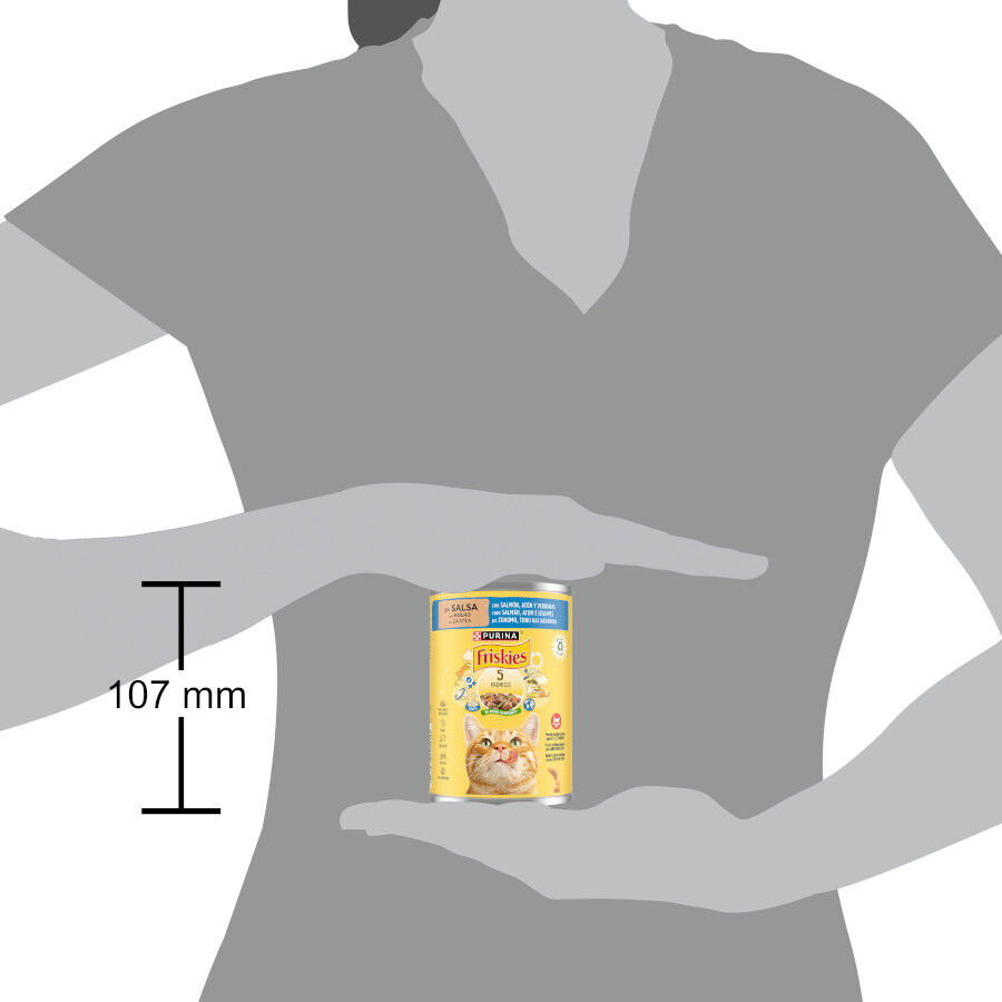 Friskies Adult Salmón y Atún en Salsa lata para gatos thumbnail