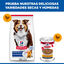 363 g Hill's Science Plan Mature Estofado con pollo y verduras lata para perros, , large indicador imagen numero 5
