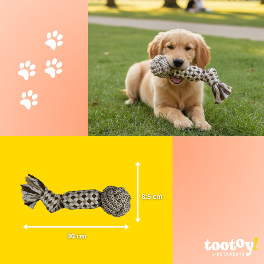 Tootoy! Mordedor de Cuerda con Pelota para perros thumbnail