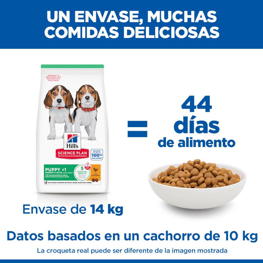18 kg Hill's Science Plan Puppy Medium pollo pienso para perro, , large Imagen numero 6