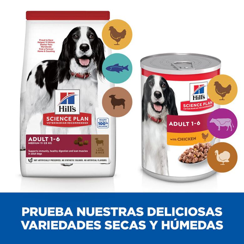 Hill&#039;s Science Plan Adult Medium Cordero y Arroz pienso para perros thumbnail