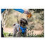 Freedog Cool Pro Tech Arnés Refrescante Azul para perros, , large indicador imagen numero 4