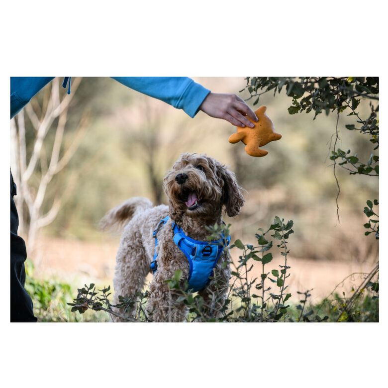 Freedog Cool Pro Tech Arnés Refrescante Azul para perros thumbnail