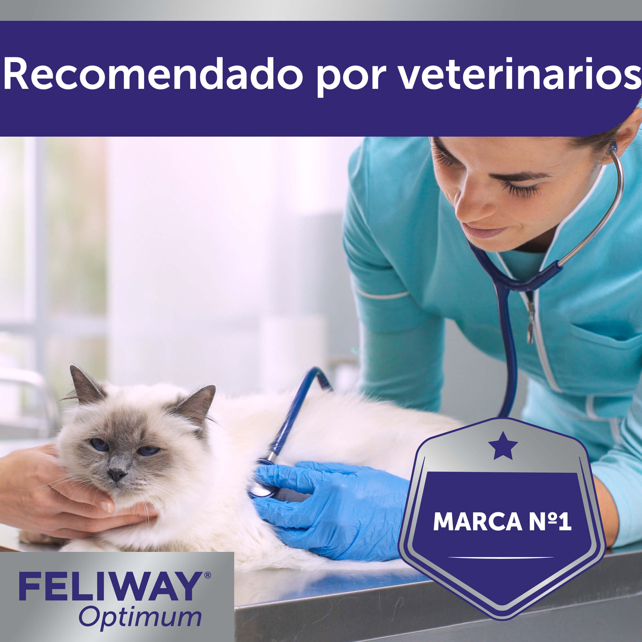 Feliway Optimum Difusor Tranquilizante para gatos thumbnail