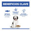14 kg Hill's Science Plan Hipoalergénico Large Salmón pienso para perros, , large indicador imagen numero 4